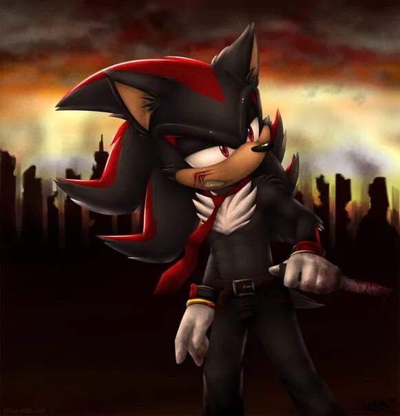 Про шедоу. Шедоу 2005. Ёж Шэдоу. Агент Шедоу. Shadow the Hedgehog 2005.