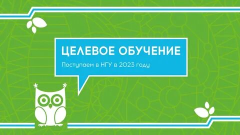 Индивидуальный год 8