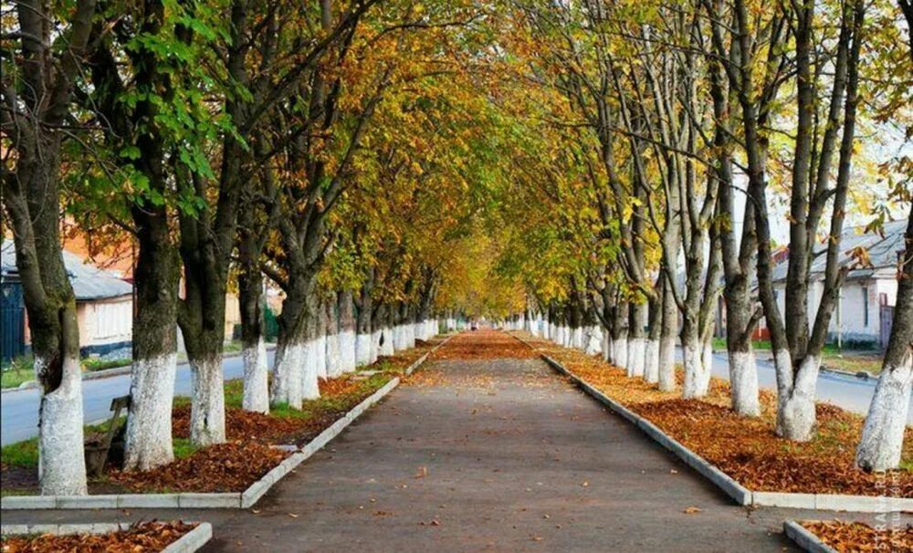 Центр аллея. Алагир парк. город алагир парк северная осетия. каштановая аллея алагир.