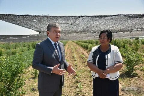 Земли узбеков