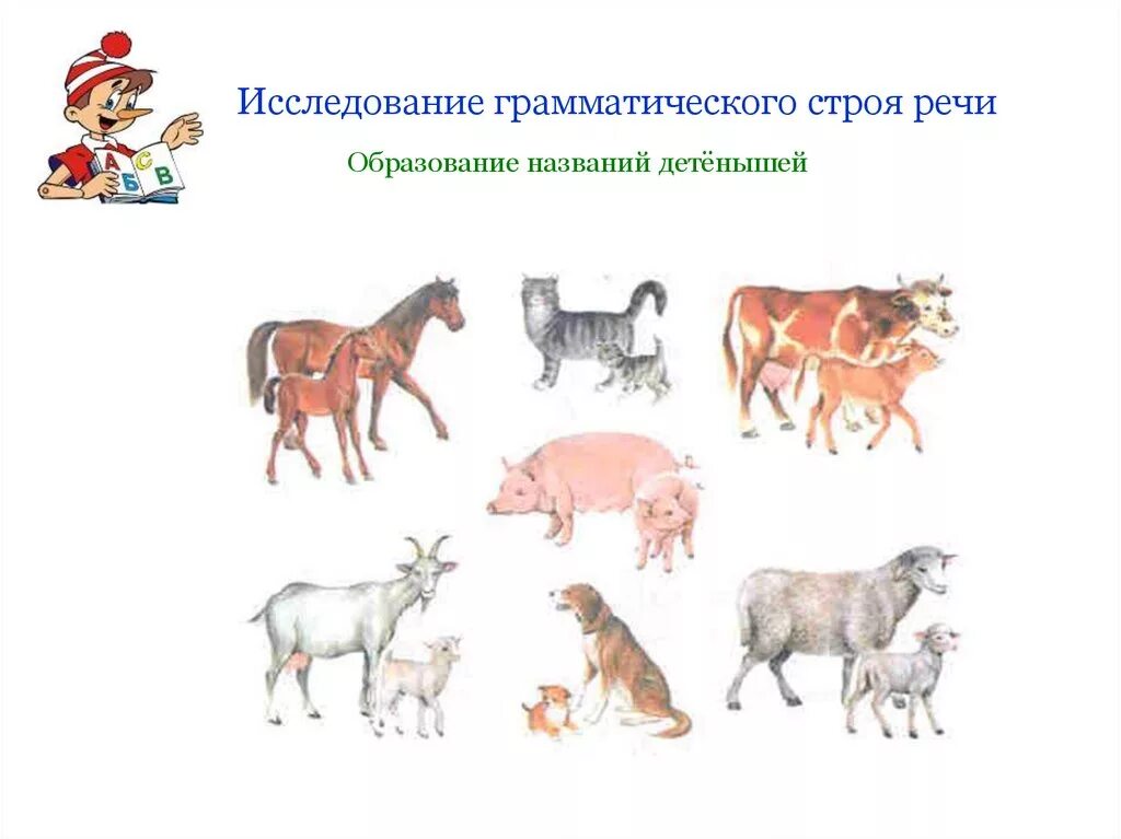 Обследование лексико-грамматического строя речи у детей 4 5 лет. Обследование грамматического строя. Обследование грамматического строя речи у дошкольников. Обследование грамматического строя речи. Обследование грамматического строя речи у дошкольников.
