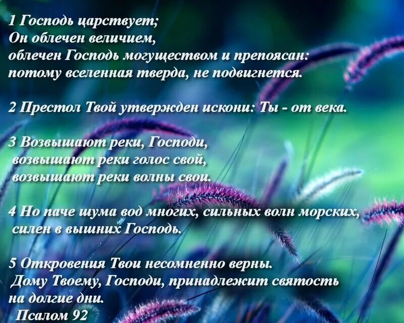 Псалом 22 для чего. Псалом 92. псалтырь псалом 92. молитва 92 псалом. псалом 97.