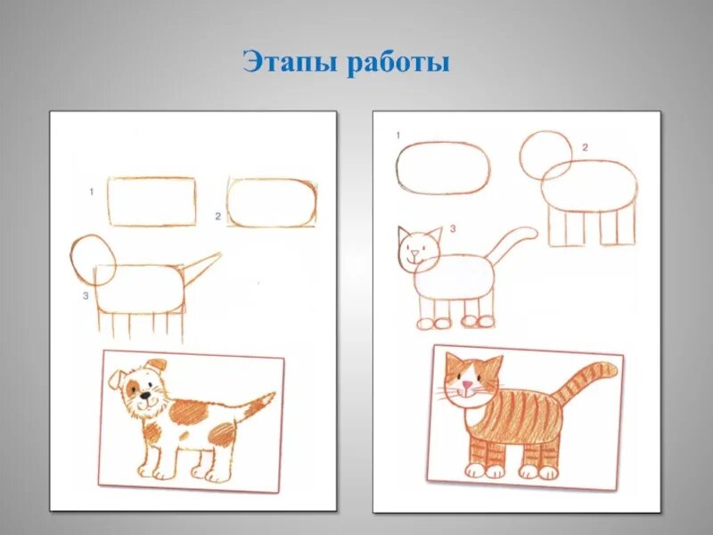 Конспект урока животные 1 класс. Рисование домашних животных. Рисование домашние животные старшая группа. Рисование домашних животных в подготовительной группе. Рисование в старшей группе на тему домашние животные.