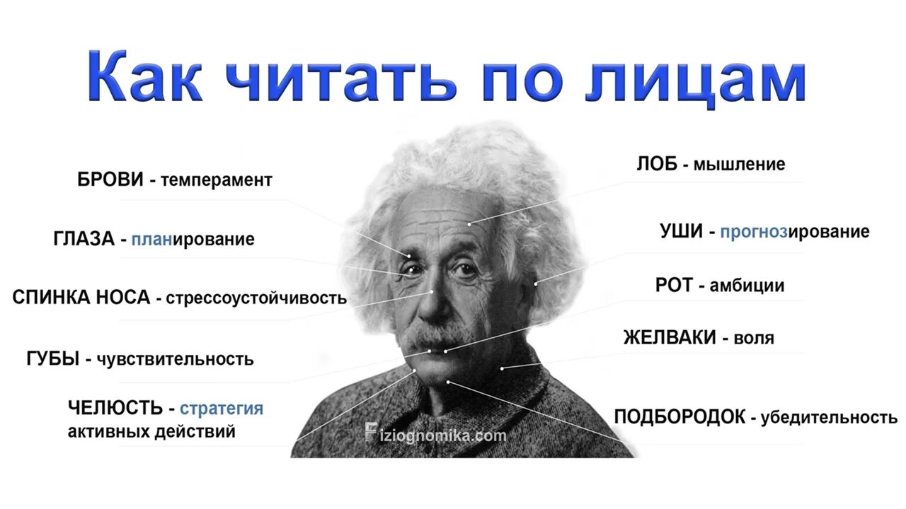 Читал лицо. Чтение характера человека по чертам лица. Физиогномика. Характер человека по лицу. Физиогномика лица.