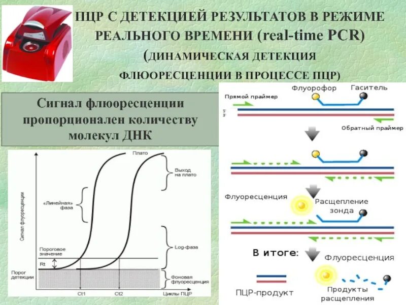 Режим детекции. Детекция пцр. методы детекции результата пцр. пцр в реальном времени. пцр в реальном времени доклад.