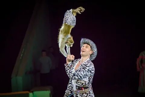 Городские зрелищные