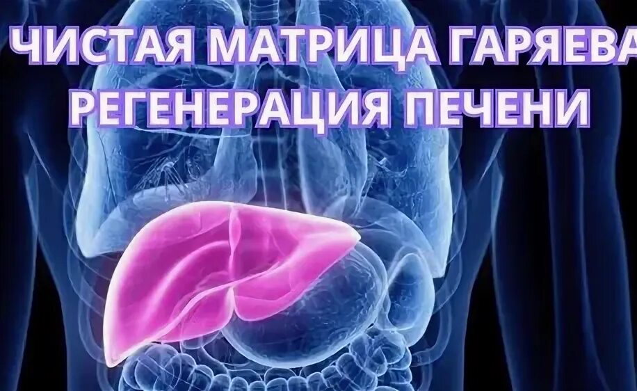 Матрицы гаряева жкт слушать онлайн бесплатно. Гаряев матрицы исцеления жкт. Гаряев матрицы исцеления жкт. Гаряев матрицы исцеления жкт. Гаряев матрицы исцеления жкт.