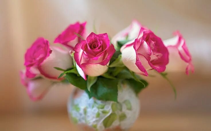 Download Vase Of Red Rose Flowers Wallpaper Wallpapers.com