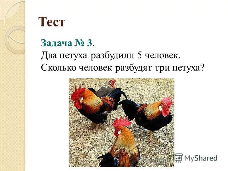 рисунок проснуться с петухами. загадка про петуха для детей 7 лет. петушок и бобовое зернышко. жили два петуха одного до обеда. жили два петуха одного до обеда.