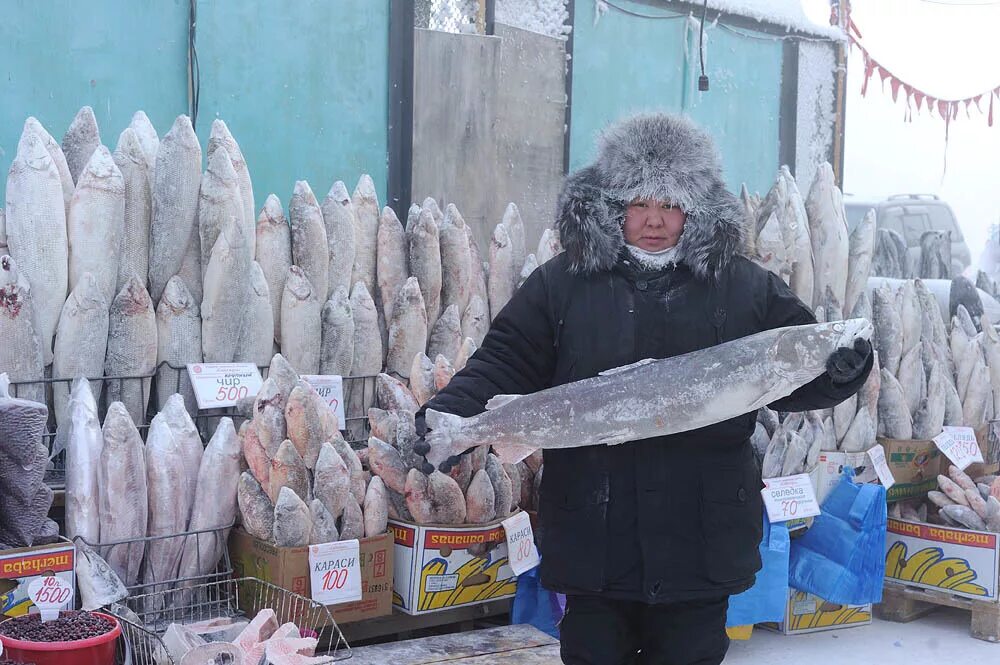 Якут рыба. Крестьянский рынок Якутск Нельма. Крестьянский рынок Якутск зимой. Рынок Сайсары в Якутске. Рыбный рынок в Якутии.