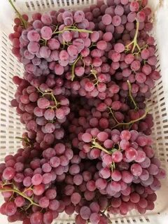 Китайский виноград