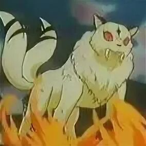 Кирара арт. Кирара коши магическая битва. Песня кирара дог. Кирара из инуяши. Песня кирара дог.