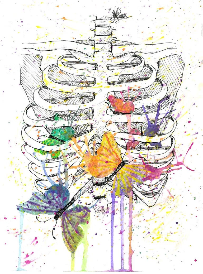 Бабочки в животе рисунок. Что означает выражение бабочки в животе. Бабочки в животе. Что означает выражение бабочки в животе. Что означает выражение бабочки в животе.