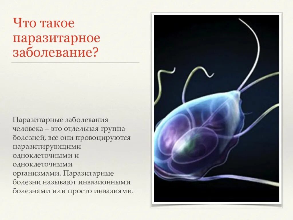 Паразитарная инфекция обычно сопровождается. Паразитарная инфекция обычно сопровождается