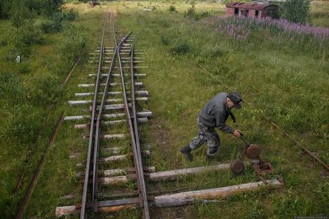 Сад тянувшийся позади дома