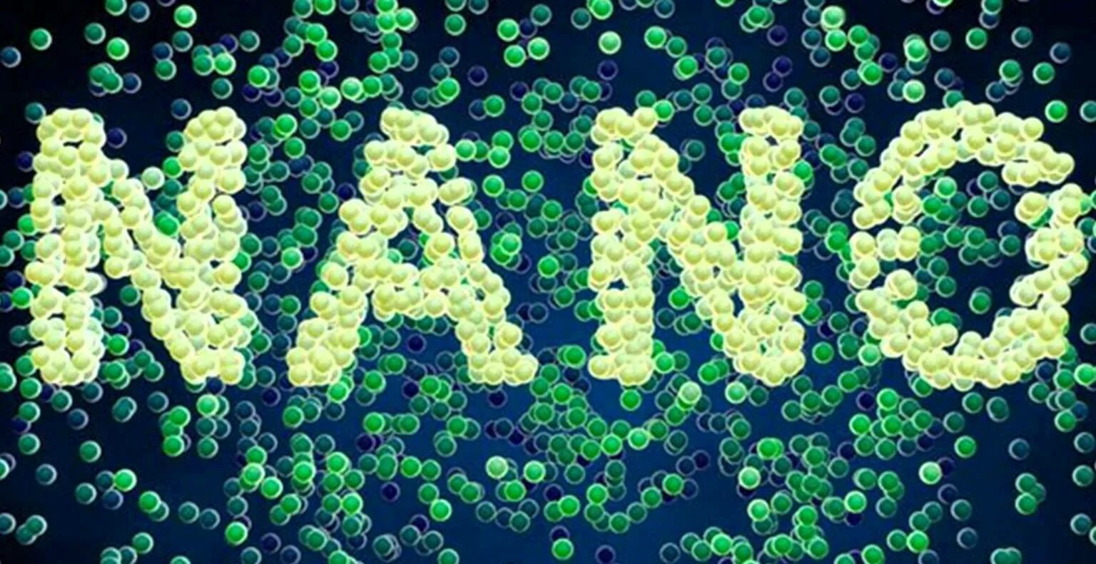 Nano basic