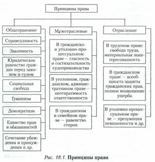 Общие социальные принципы это