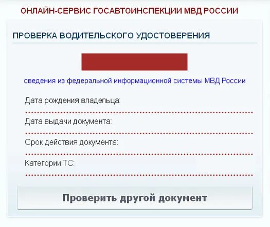 Проверка по базам рф. Пробив прав по базе ГИБДД. Проверка водительских прав. Проверка на лишение водительских прав.