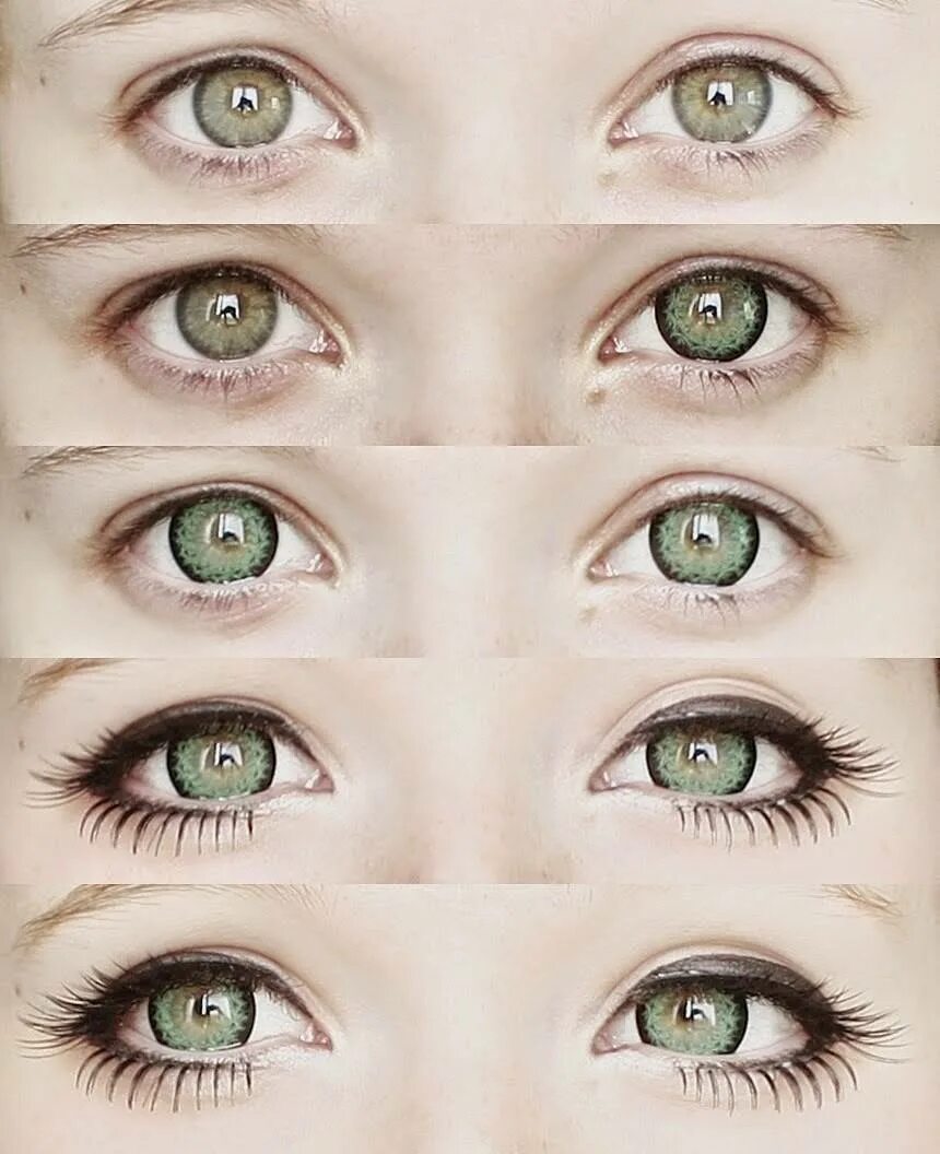 Как узнать какие глаза. Формы глаз. Формы разреза глаз. Формы женских глаз. Разные типы глаз.