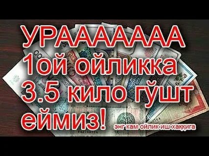 Курс бир ойлик