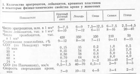 Количество эритроцитов в 1 литре