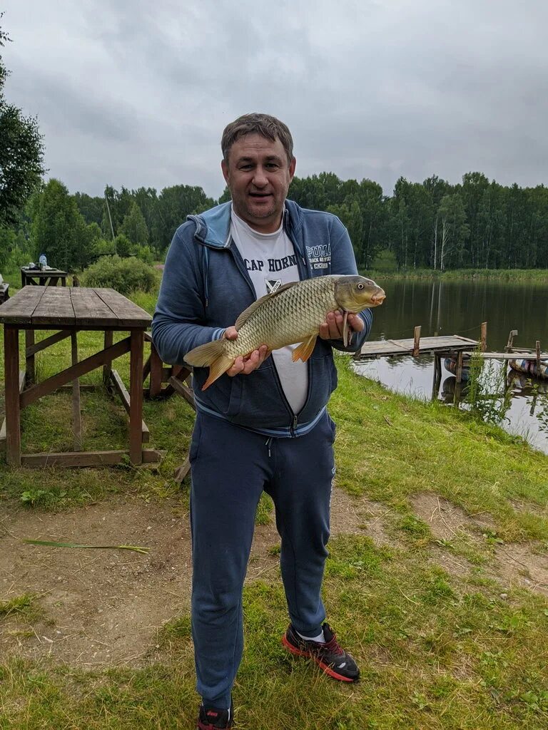 Платная рыбалка. Платный пруд. Рыбалка на платных прудах. Шабровский пруд. Золотой карп рыбалка