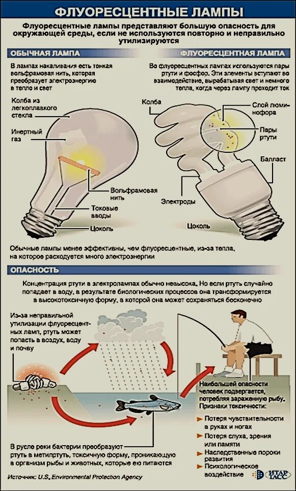 Ртуть ртутные лампы. Ртуть ртутные лампы