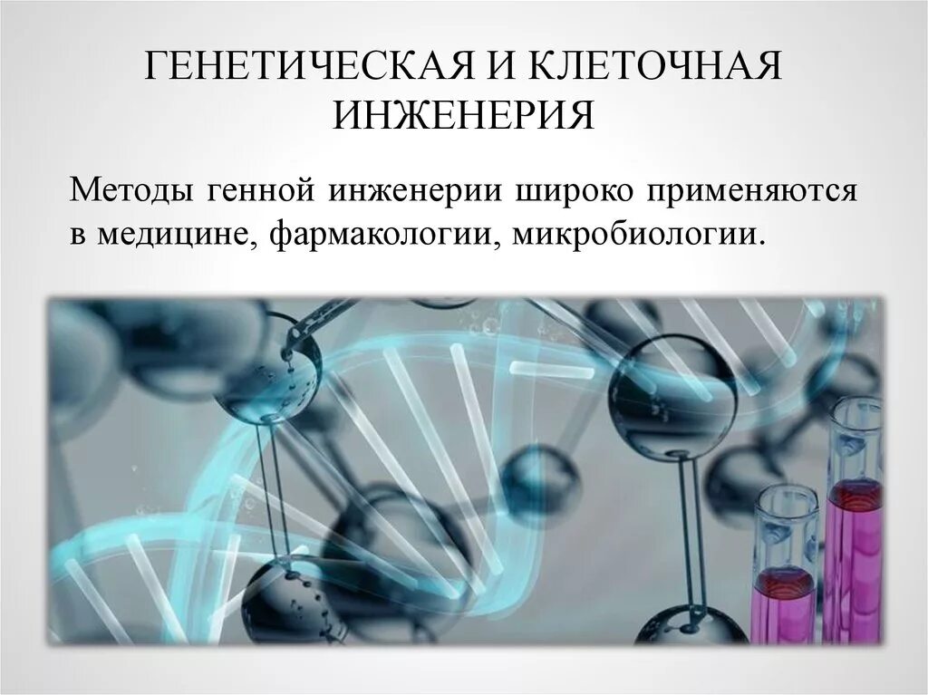 Методы клеточной инженерии в биотехнологии. Генная и клеточная инженерия. Генная инженерия и клеточная инженерия. Методы клеточной и генной инженерии. Методы генной инженерии.