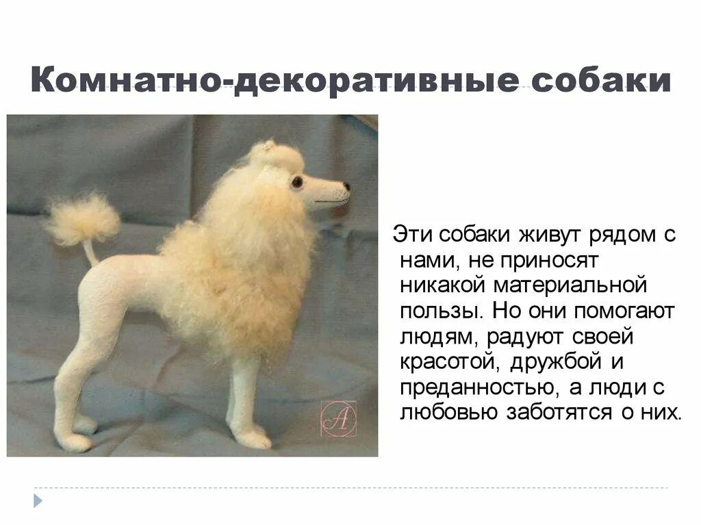 Придумать рассказ про собаку. Рассказ о собаке. Доклад про собаку. Маленький рассказ про собаку. Рассказ о собаке.