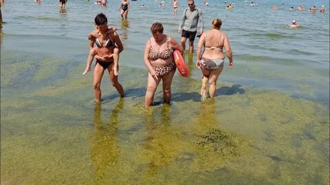 Купаются ли в анапе