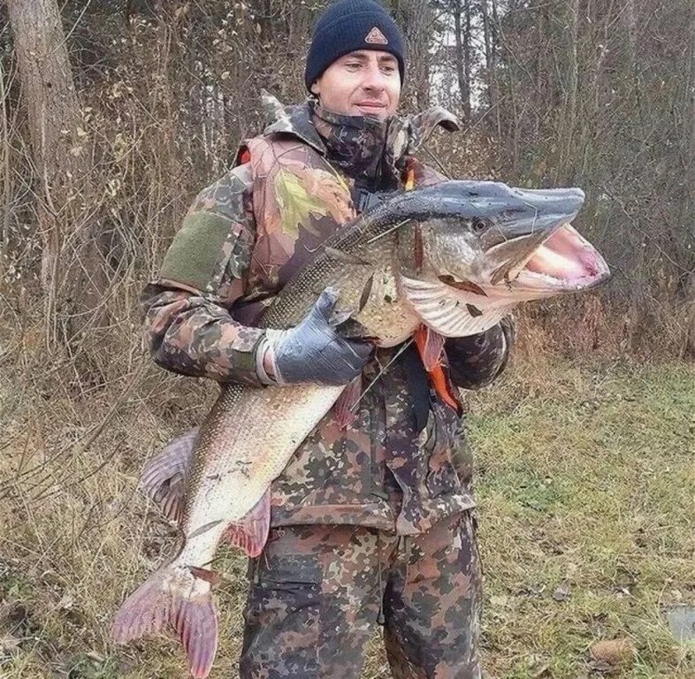 Рыба рыбакам екатеринбург. Рыбалка трофеи. рыбацкие трофеи. рыбак с трофеем. рыболов с трофеем.