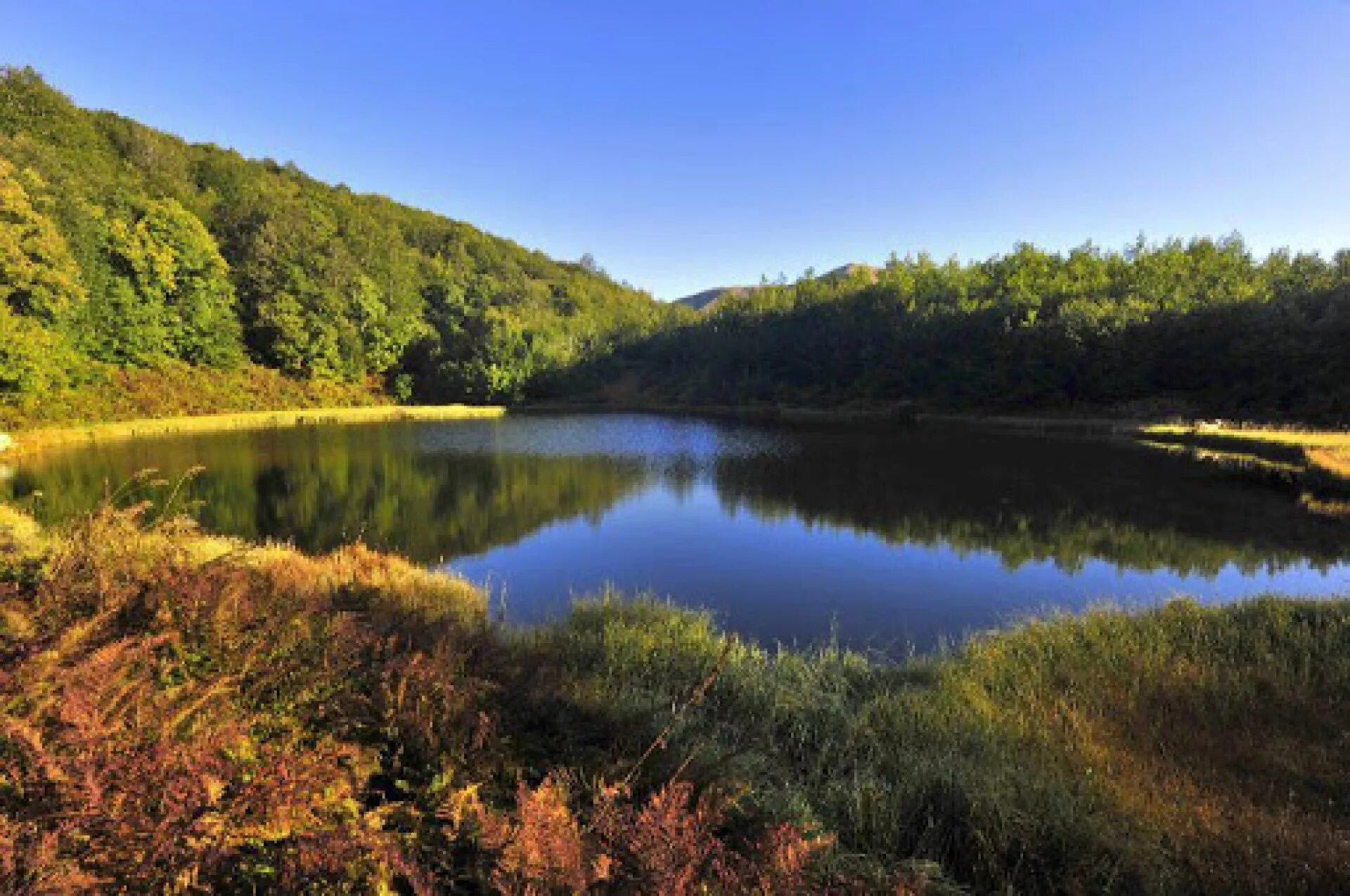 2. заповедный уголок. , 16к1. дарвинский заповедник лес. заказник «балка скелевая».