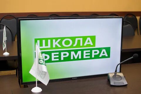 Начало 3 компании