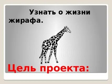 Как пишется слово жирафу