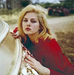 Женщина это нечто прекрасное 1964