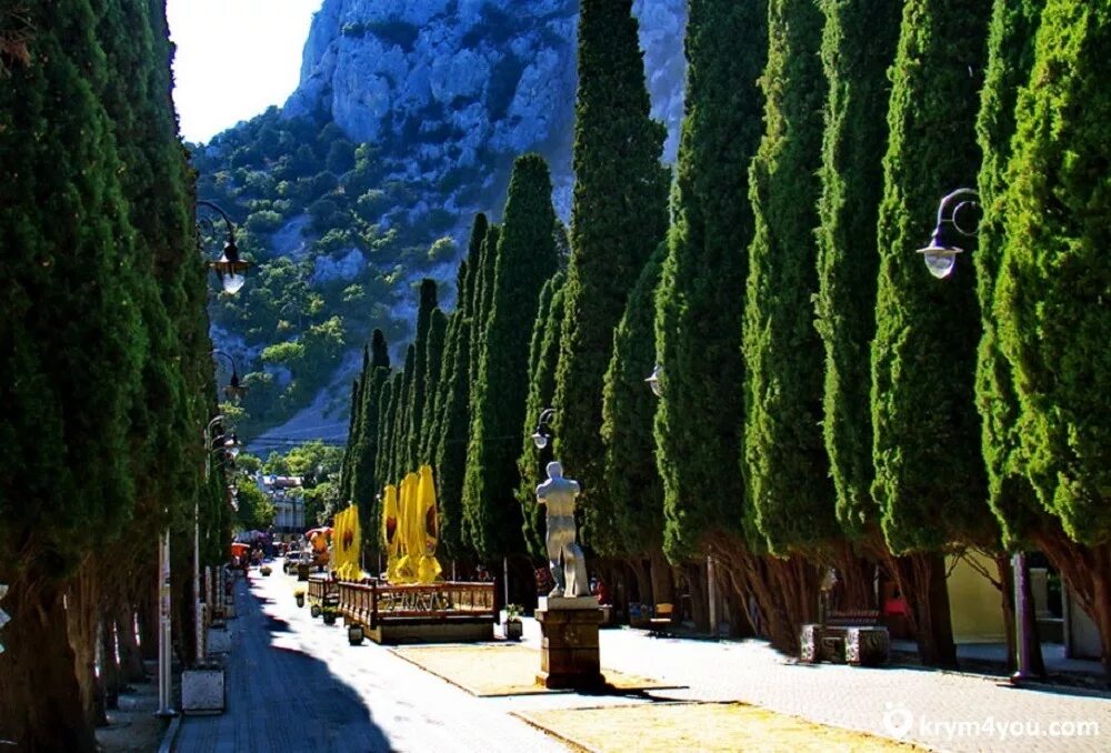 Кипарис итальянский (cupressus sempervirens). Кипарис вечнозеленый пирамидальный. Кипарисы в греции. Ботанический сад кипр cyherbia. Кипарис вечнозеленый крым.