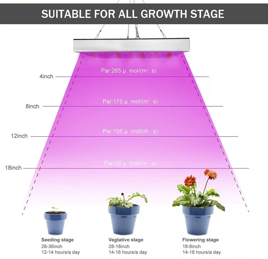 Чем отличается лампа от фитолампы. Чем отличается лампа от фитолампы. Лампа general 6500k 40 вт для досвечивания рассады. Фитолампа 10 ватт для растений. Фитолампа эра 80 вт rb led y.
