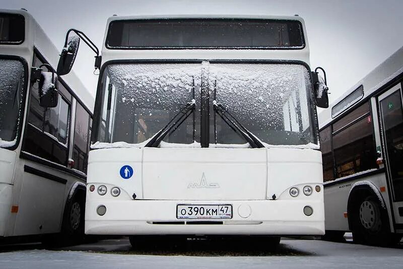 737 автобус волосово. расписание автобусов волосово. маршрут 737 автобуса москва. рязань паз 3237. расписание автобусов волосово кингисепп 737.