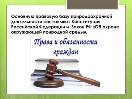 Правовой основной деятельности