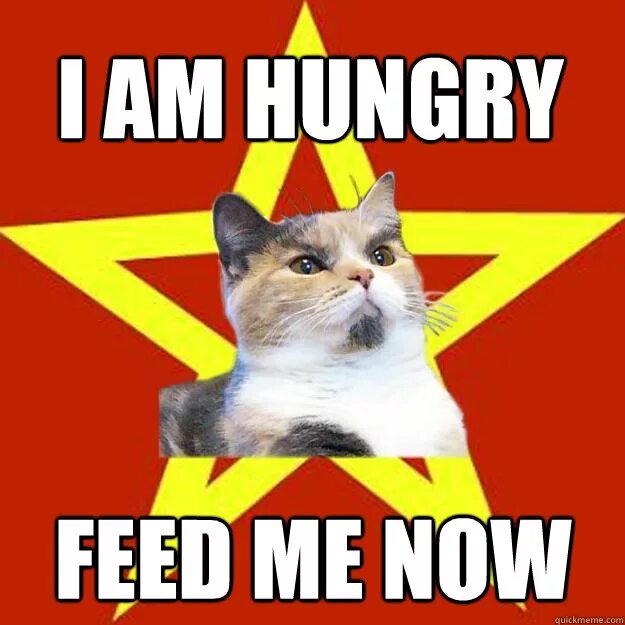 Переведи hungry. I am hungry картинка. Персонаж i am hungry. I am hungry игра. Hungry i am hungry! Бомбастер.