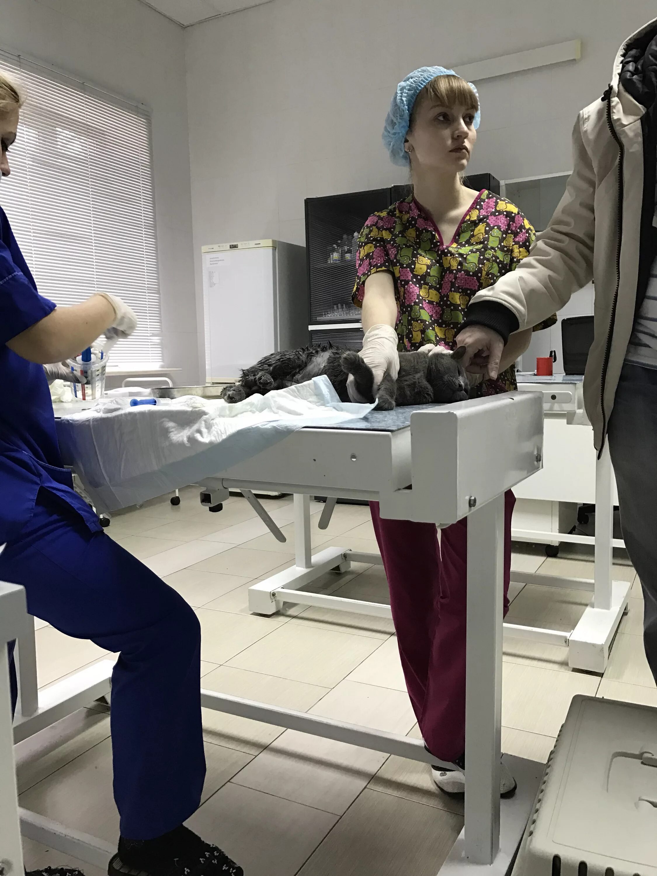 Ветклиника ставрополь. Научно-диагностический и лечебный ветеринарный центр ставрополь. Круглосуточные ветклиники. Шпаковская 100 ветклиника. Круглосуточные ветклиники ставрополь.