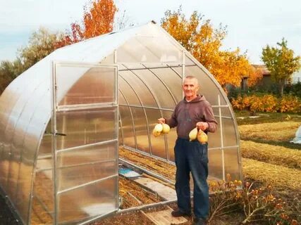 Теплица сергиев посад