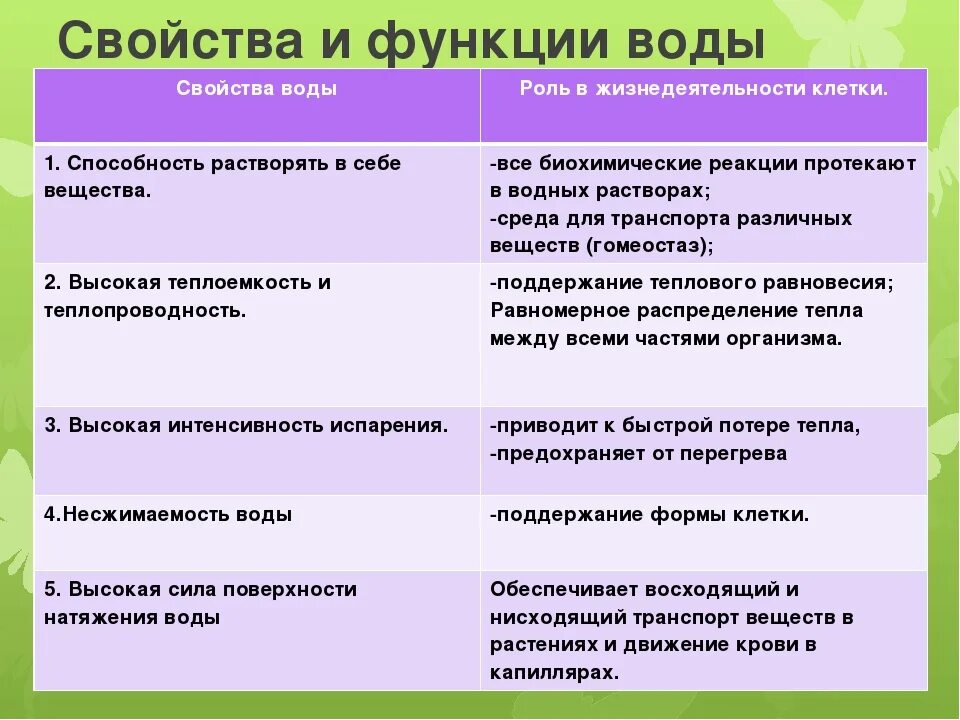 Назовите особенности воды. Свойства и функции воды. Характеристика функций воды. Роль воды в жизнедеятельности клетки.