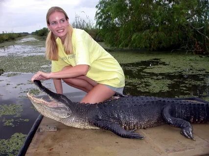 The gator