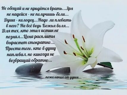 Надеюсь получится