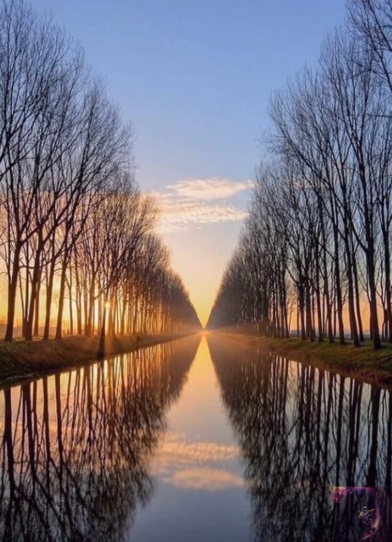 Зеркальная симметрия в природе. Природа отражение. Симметричное отражение. Симметричное отражение. Симметричное отражение.