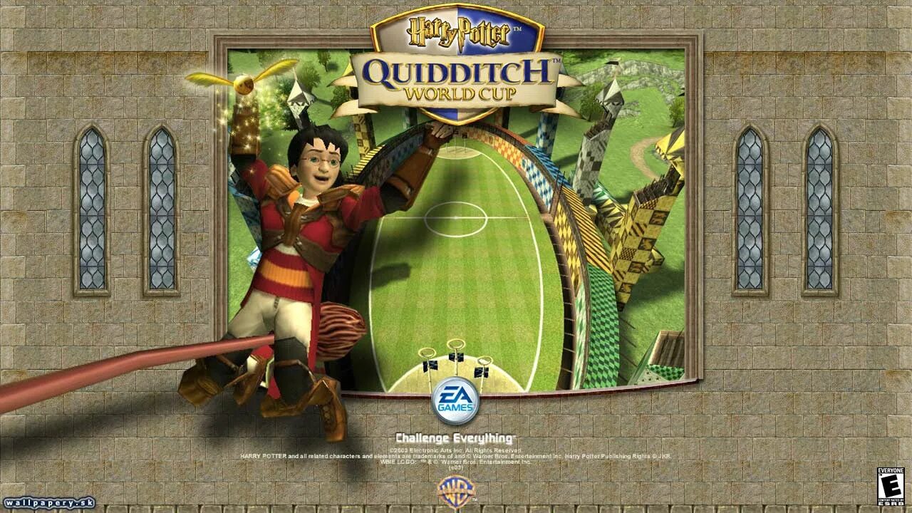 Quidditch cup. Harry Potter Quidditch World Cup ps2. Harry Potter Quidditch World Cup карточки.