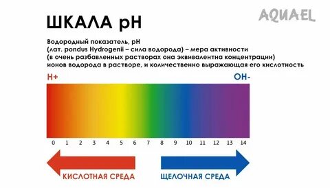 Сколько сред в декабре