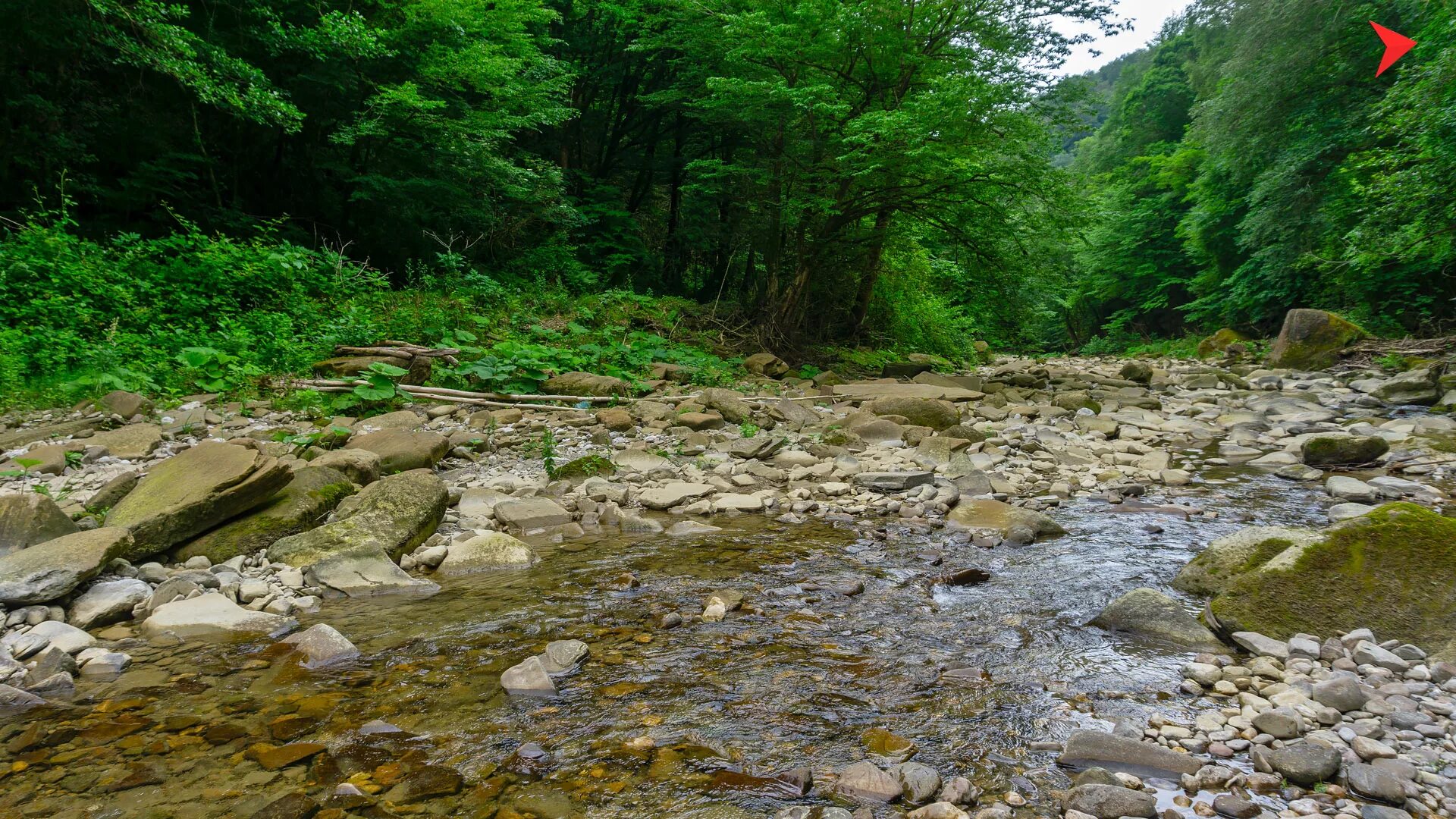 Краснодарский край сочи лесное. Русло реки Кудепста. Кудепста (река). Река Псезуапсе Лазаревское. Река Кудепста Адлер.