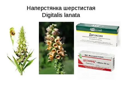 Настой наперстянки